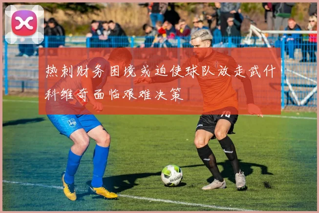 热刺财务困境或迫使球队放走武什科维奇面临艰难决策