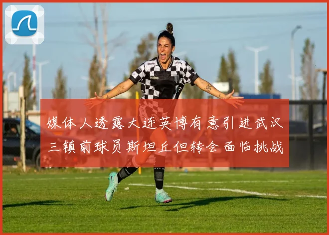 媒体人透露大连英博有意引进武汉三镇前球员斯坦丘但转会面临挑战